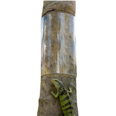Nouveau manchon de protection anti-grimpe pour tronc d'arbre, barrière physique contre iguanes écureuils et animaux nuisibles (1/5)