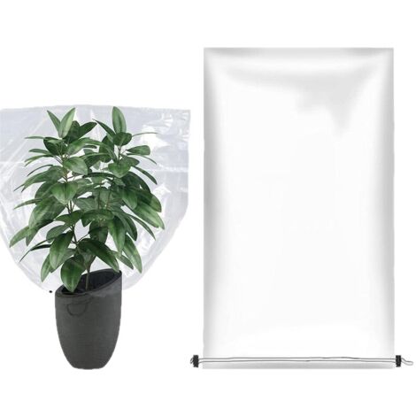 Grande housse de protection hivernale transparente 120x180cm en PE, couverture anti-gel pour serres jeunes arbres et grands plants (1/5)