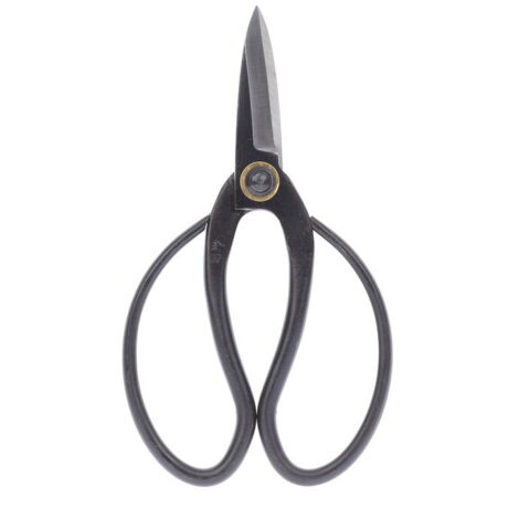 Bonsaïs ciseaux de bonsaï acier - outils traditionnels pour la culture de bonsaï professionnelles - très adapté aux bourgeons, aux feuilles et aux branches