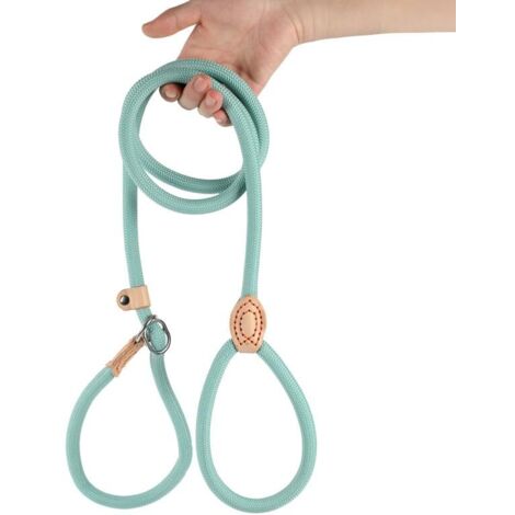 Laisse P intégrée anti-traction pour chiens, en corde renforcée, pour petites, moyennes et grandes races (1/5)
