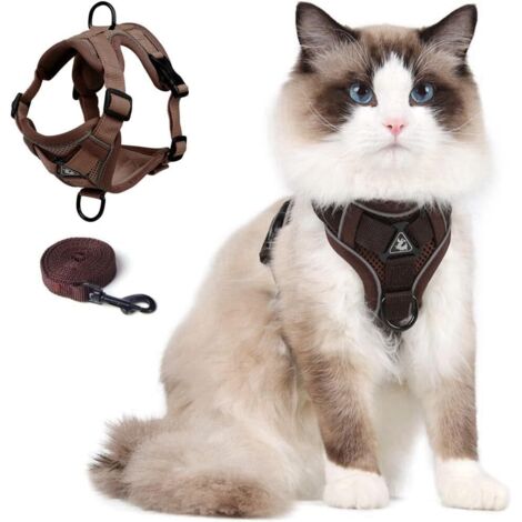 Harnais réfléchissant et anti-évasion pour chat et petit chien, taille M (1/5)