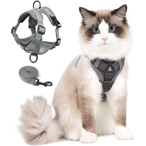 Harnais réfléchissant et anti-évasion pour chat et petit chien, taille M (1/5)