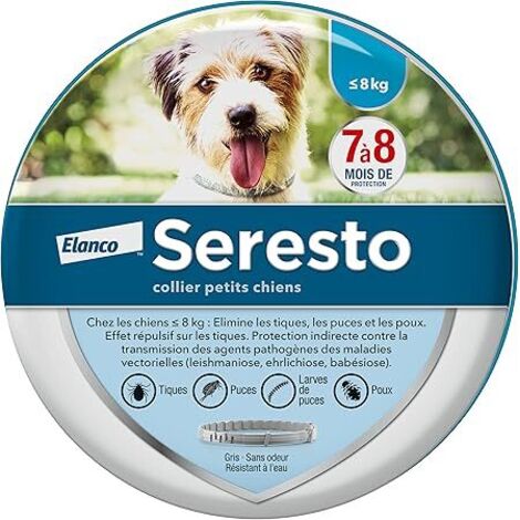 Collier anti-puces et anti-tiques gris pour petits chiens de moins de 8 kg
