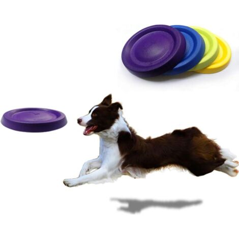 Jouet d'extérieur pour chien à lancer et rapporter, violet, pour l'entraînement des animaux de compagnie. (1/5)
