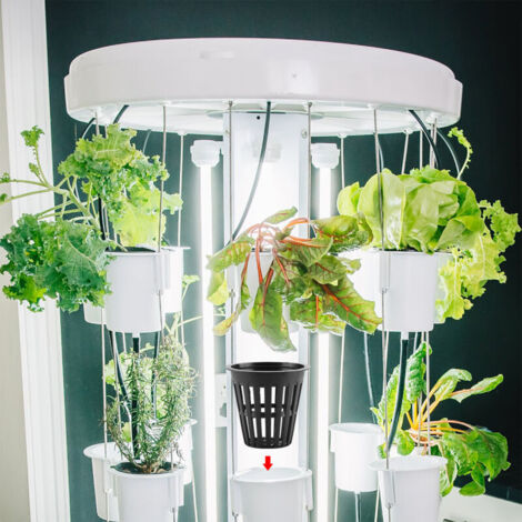Pots pour hydroponie et aquaponie [3 x 5.5cm] Plastique 10 pots avec large rebord
