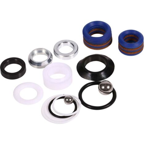 Kit de Réparation Pompe Airless Ultra Pièces Détachées en Acier Inoxydable & Silicone pour Modèles 390 395 495 595 (Kit 244194)