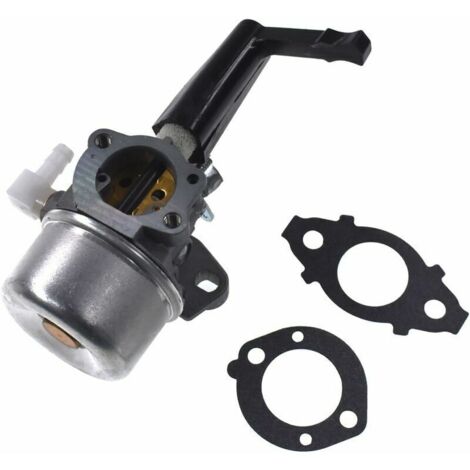 Kit Carburateur + Joints pour Briggs & Stratton 696065/697422/110402-0206-E1 (1/3)