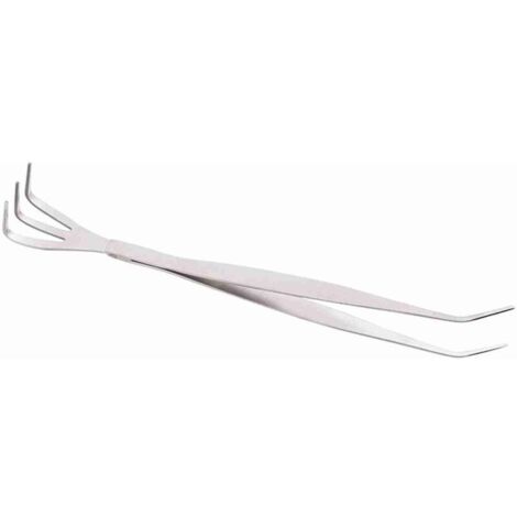 Râteau Racine pour Bonsai Professionnel en Acier Inoxydable 2-en-1 avec Pince et Manche Ergonomique - 22cm - Argent (1/4)