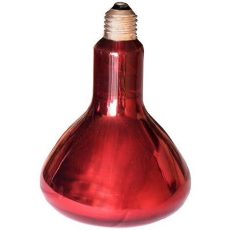 Lampe infrarouge 250W pour litière – Chaleur ciblée pour animaux – Accessoire poulailler – Matériaux résistants – Kerbl (1/3)