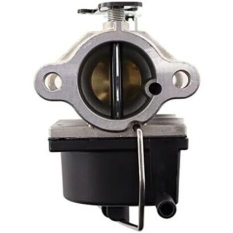 Carburateur Filtre à Carburant Tuyau Carburant pour Tecumseh 640065A 640065 moteur OHV110 OHV115 OHV120 OHV125 OHV130 OHV135 OV358EA Tondeuse à Gazon 13HP 13,5 HP 14HP 15HP Tracteur