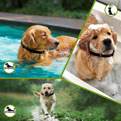 Elle – Collier antiparasitaire pour chien – Protection 8 mois contre puces, tiques, moustiques – Étanche et sans irritation – 68 cm