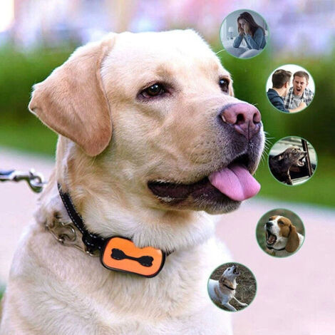 Collier anti-aboiement rechargeable pour chiens, collier de dressage pour petits, moyens et grands chiens avec 3 modes de vibration et de son 7 niveaux de sensibilité, bleu