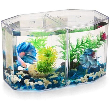 Aquarium de Bureau de Miniature: Petit Aquarium Betta avec Cloison Amovible pour Betta, Poisson Rouge - pour Enfants Débutants