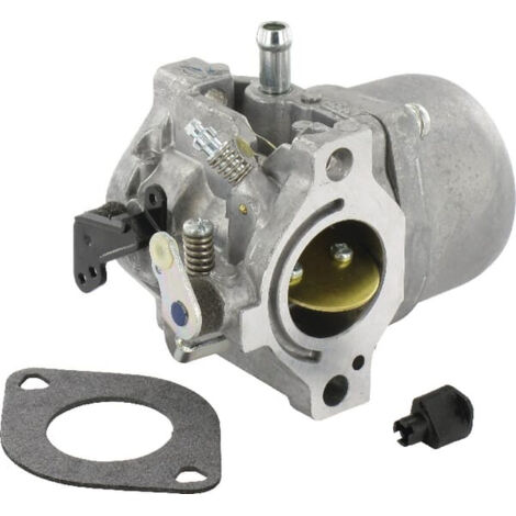 Carburateur adaptable pour moteurs Briggs & Stratton – Alimentation efficace – Remplace 799728, 498027, 495706 – 799728