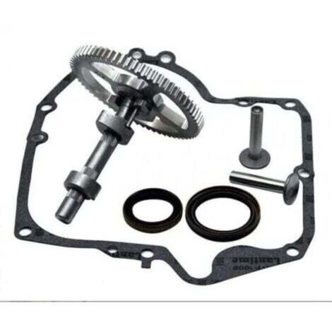 Arbre à cames Briggs & Stratton 793880 793583 792681 791942 795102 Kit de remplacement de came avec joint d'huile 795387 et joints de carter Ruikalucky 697110 LKBD