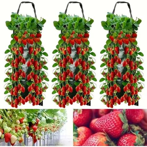 3pcs Fraise cultiver sac suspendu planteur fleur suspendu sac plantes de remorque