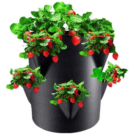 Pots de plantation de jardin extérieur de planteurs de fraises de 5pcs avec 6 poches de croissance latérale (1/5)