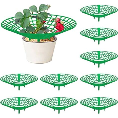 Supports de plante de fraise de 20 paquets, stand de plante de fraise avec 3 jambes robustes, racks de croissance de fraises (1/5)