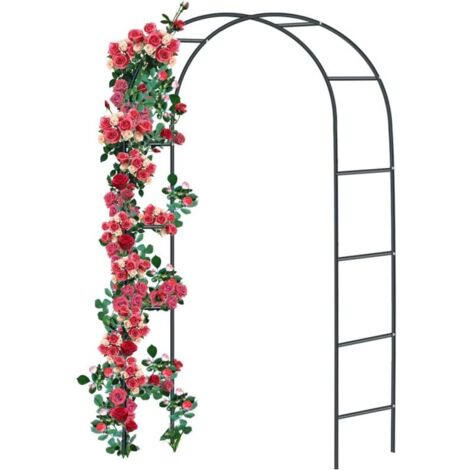 Arche de Rose en métal - Grille de Rose en Acier revêtu par Poudre - Décoration de Jardin et décoration - Résistant aux intempéries - 240 x 140 x 38 cm - Noir (1/5)