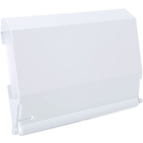 Déflecteur d'écumoire de piscine SPX1082K (1/4)