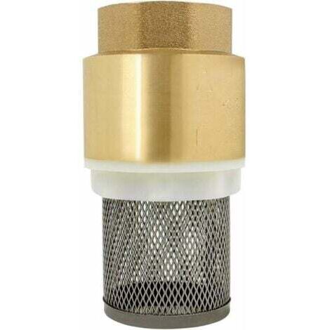 Clapet crepine anti retour 1/2、3/4、1、2 pouce - vanne non retour clapet anti-retour pompe (2 pouce)--INHHUB