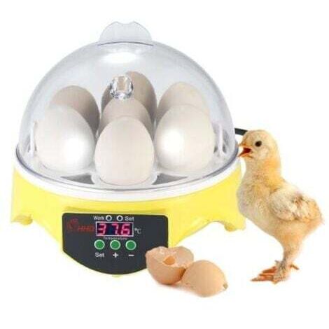 Incubateur automatique pour 7 œufs avec contrôle numérique de la température - pour élevage de volailles - Poulet Canard Caille,INHHUB