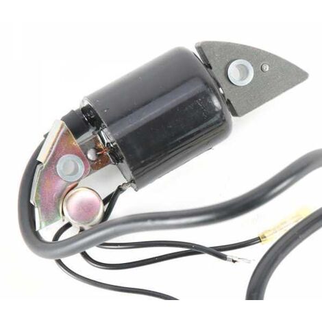 Matijardin – Bobine d'allumage pour moteurs Honda G150 G200 G300 G400 – Entraxe de fixation 74 mm – Accessoire pour motoculteur