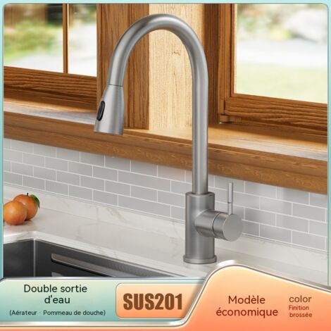 Robinet de Cuisine Rétractable en Laiton, Mitigeur Eau Froide et Chaude pour Évier, Robinet Multifonction pour Légumes et Vaisselle (1/4)