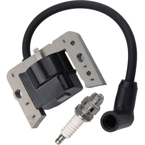 Bobine d'allumage 34443d pour Tecumseh 34443, 34443a 34443b 34443c Module à semi-conducteurs de bobine d'allumage-tecumseh Av520 Lh195 Oh195 Th139 Tv085 Tvm140 Tvxl840 V