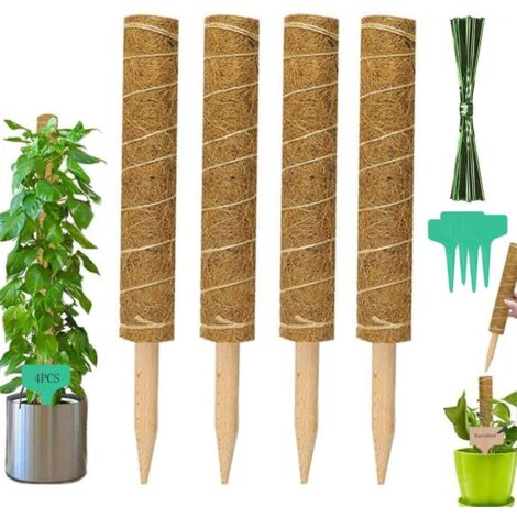 Tuteur Plante Grimpante 4 Pièces Bâton de Coco de 30cm avec 4 Étiquettes de Plantes et 100 Câbles Plantes pour Plantes Grimpantes Poteau de Mousse Support Tuteur en Fibres de Mousse de Coco (1/5)