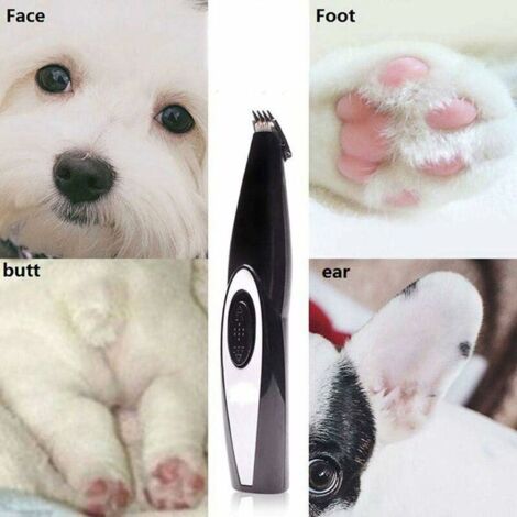 Tondeuse électrique pour animaux de compagnie, rechargeable par USB, sans fil, petite tondeuse à poils-AquaForge (1/5)