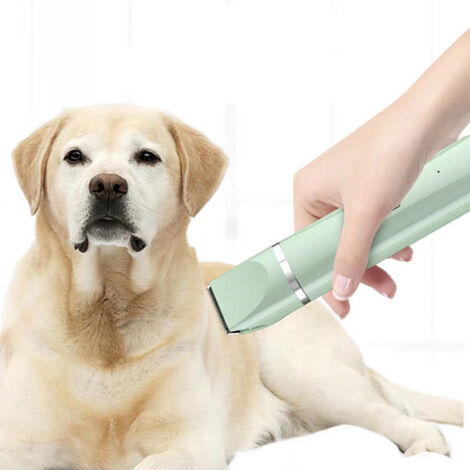 Tondeuse à poils pour chiens et chats 4 en 1, rechargeable, silencieuse, électrique, étanche IPX7, avec 4 peignes (verte)-AquaForge (1/5)
