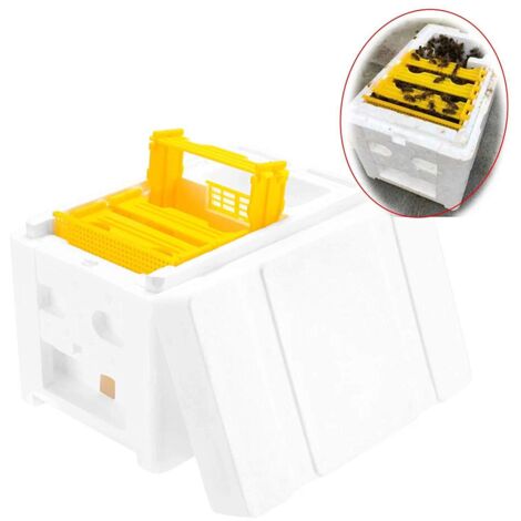 Ruche, boîte à abeilles, pollinisation, roi de l'apiculture, pour la reine, outils d'élevage - AquaForge (1/5)