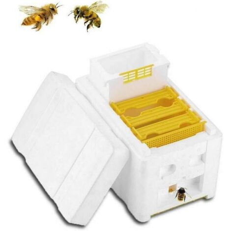Ruche pour la récolte du miel, la pollinisation, outils apicoles - AquaForge (1/5)