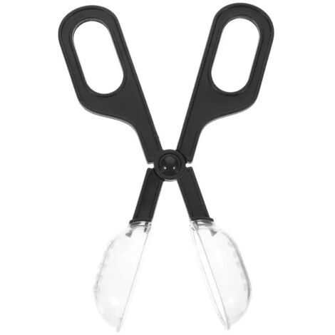 Ensemble cage à reine, cellules d'abeilles, pince à ruche, apiculture, porte-outils apicole en plastique. - AquaForge (1/5)