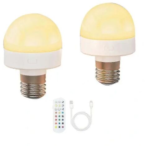 Ampoules rechargeables avec télécommande - Ampoule à piles E26 pour appliques murales non câblées-AquaForge (1/5)