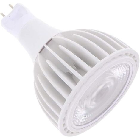 Ampoules LED G12 40 W à intensité variable (110-130 V) pour lustre-AquaForge (1/4)