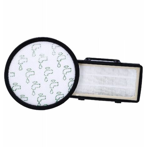 Lot de 2 filtres pour aspirateurs Rowenta X-Trem Power Cyclonic RO6963EA, RO6971EA, RO6984EA (préfiltre + filtre d'échappement)-AquaForge (1/3)