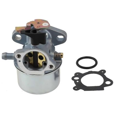 Carburateur pour moteur de tondeuse à gazon Quantum série 675 498965 494216 493422 494971-AquaForge (1/5)