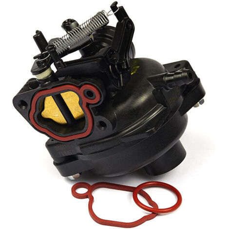 Carburateur de jardin compatible avec les moteurs Briggs & Stratton 799584, 798675, 592361 et 799579-AquaForge (1/5)