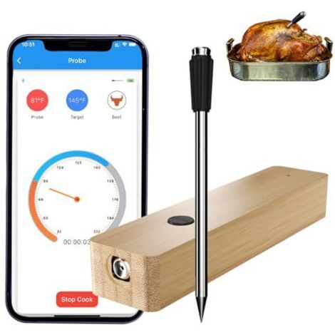 Thermomètre à viande intelligent sans fil pour barbecue, fumoir, four et rôtissoire - Aiguille unique-AquaForge (1/5)