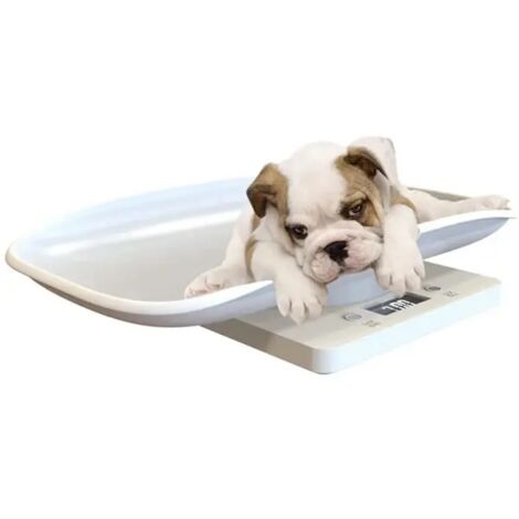 Balance numérique pour animaux de compagnie, balance de cuisine multifonctionnelle avec écran LCD, pesée jusqu'à 10 kg, accessoires pour animaux.-AquaForge (1/5)