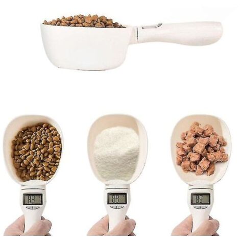 Balance électronique de cuisine numérique-AquaForge (1/5)