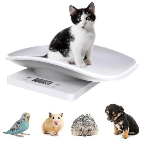 Balance électronique numérique pour animaux de compagnie, balance de cuisine avec écran LCD, capacité de 10 kg / 22 lb.-AquaForge (1/4)