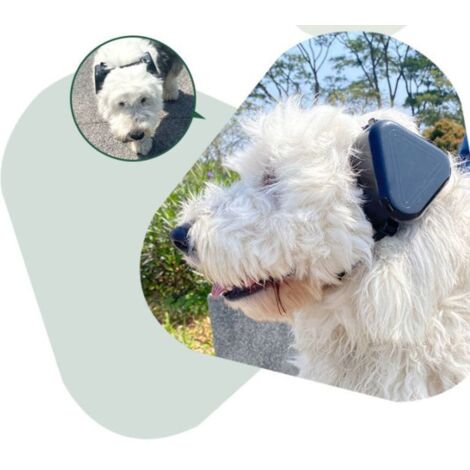 (Nero) Cuffie con cancellazione del rumore per cani, per proteggere il loro udito.