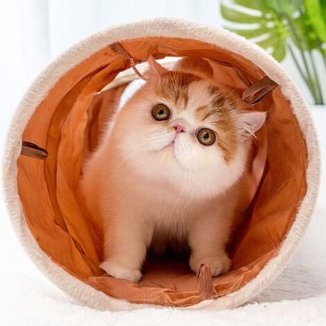 Túnel para gatos, túnel de juego plegable para gatos. (1/3)
