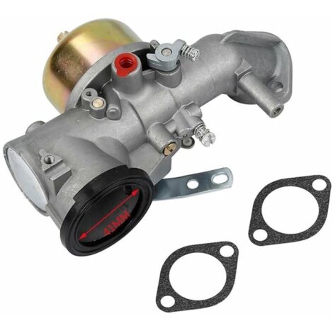 Carburador metálico con kit de juntas para motor de 12 CV 491026 281707 491031 490499, herramienta de reparación de carburadores, repuestos - Crezuo (1/4)