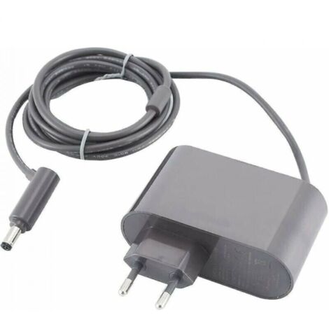 Convient pour Dyson V6 V7 V8 DC58 DC59 DC61 DC62 SV03 SV04 SV05 SV06 SV07 Chargeur Adaptateur Aspirateur CA (1/5)