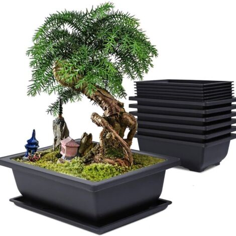 Lot de 6 Pot pour Bonsai avec Soucoupe, 16x12x6cm Pots de Fleurs en Plastique avec Outillage de Jardin, Pot Bonsai Rectangulaire avec Trou d'échappement pour Jardins Balcon Extérieur Intérieur