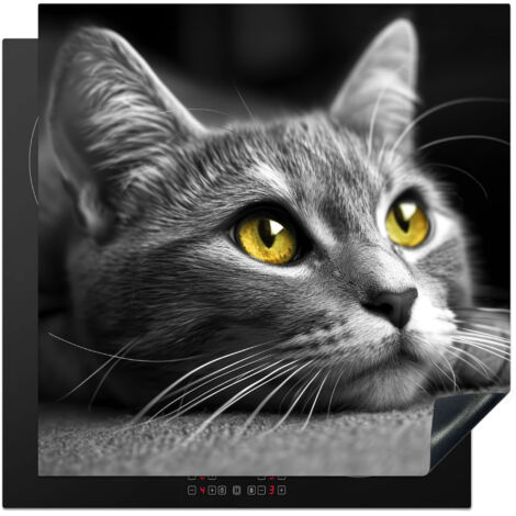 PROTEZIONE PER PIANO COTTURA A INDUZIONE Gatto - Grigio - Animali - Gatto 78x78
